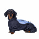Превью Комбинезон для собак средних пород теплый Такса средняя мальчик графит/синий горизонт 42x36x52 см