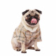 Превью Рубашка с бантиком для собак XL бежевый (унисекс) 1