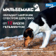 Превью Мильбемакс Таблетки от гельминтов для собак крупных пород весом 5-50 кг, 2 таблетки 4