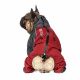 Превью Дождевик для собак девочек Французский бульдог, бордовый, длина спины 36 см, обхват шеи 46 см, обхват груди 63 см 2
