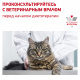 Превью Hypoallergenic DR25 корм для кошек с пищевой аллергией, 2,5 кг 6