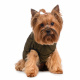 Превью Куртка на молнии для собак S зеленый (унисекс)