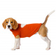 Превью Свитер для собак оранжевый с сердцем