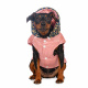 Превью Куртка с капюшоном для собак XL розовый (унисекс) 1