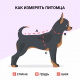 Превью Дождевик для собак с ножками M фиолетовый (унисекс) 5