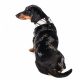 Превью Шлейка для собак XL, серая, обхват груди: 58-78 см 1