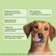 Превью Милпразон Антигельминтные таблетки для собак весом более 5 кг, 2 таблетки 3