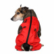 Превью Дождевик для собак мальчиков Скотч-терьер, красный, длина спины 37 см, обхват шеи 39 см, обхват груди 62 см 2