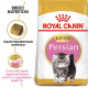 Превью Persian Kitten Сухой корм для котят персидской породы в возрасте до 12 месяцев, 400 гр. 3