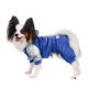 Превью Комбинезон с капюшоном для собак XL голубой (унисекс)