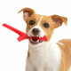 Превью Игрушка для собак палочка TUTTO MIO, резина, цвета в ассортименте 4