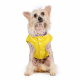 Превью Куртка с капюшоном для собак XL желтый (унисекс) 1