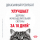 Превью Urinary Care Сухой корм при профилактике мочекаменной болезни для взрослых кошек, 400 гр. 11