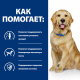 Превью Prescription Diet j/d Сухой диетический корм для собак, способствующий поддержанию здоровья и подвижности суставов, 12 кг 3