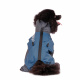 Превью Дождевик для собак Пудель карликовый мальчик голубой горизонт XL, 34x36x61 см