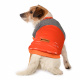 Превью Куртка для собак XS оранжевый (унисекс) 1