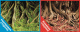 Превью Фон двусторонний для аквариума Корни с мхом и Корни с листьями, 30x60 см