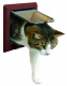 Превью Дверца для кошки (15,8х14,7см), с 4 функциями, коричневый