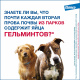 Превью Мильбемакс Таблетки от гельминтов для собак крупных пород весом 5-50 кг, 2 таблетки 3