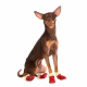 Превью Ботинки замшевые для собак XS красный (унисекс) 2