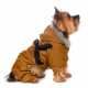 Превью Комбинезон со шлейкой и капюшоном для собак XS бежевый (унисекс)