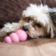 Превью Игрушка для собак Puppy классик S маленькая цвета в ассортименте: розовый, голубой 7x4 см 3
