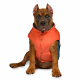 Превью Куртка для собак 3XL оранжевый (унисекс) 1