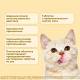 Превью Милпразон Антигельминтные таблетки для котят и кошек весом до 2 кг, 2 таблетки 3