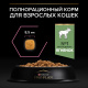 Превью Delicate сухой корм для взрослых кошек при чувствительном пищеварении с ягненком, 10 кг 5