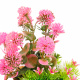 Превью Композиция искусственных растений для аквариума 094 розовая 8,5x6 см 1