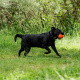 Превью Игрушка для собак Мяч диаметр 8,5 см средний оранжевый, для собак средних пород (снаряд) 3