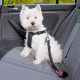 Превью автомобильный ремень безопасности для собак 30-60 см 2
