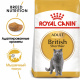 Превью British Shorthair 36 Adult Сухой корм для взрослых кошек породы британская короткошерстная, 10 кг 3