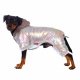 Превью Комбинезон с капюшоном для собак XL разноцветный (унисекс) 8