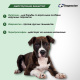 Превью Ошейник для собак средних пород от блох, клещей и гельминтов, 65 см 4