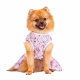 Превью Платье для собак в цветочек S фиолетовый (девочка) 1