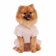 Превью Платье для собак с ромашками XS розовый (девочка) 2