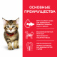 Превью Science Plan Влажный корм (пауч) для котят для здорового роста и развития, с индейкой в соусе, 85 гр. 3