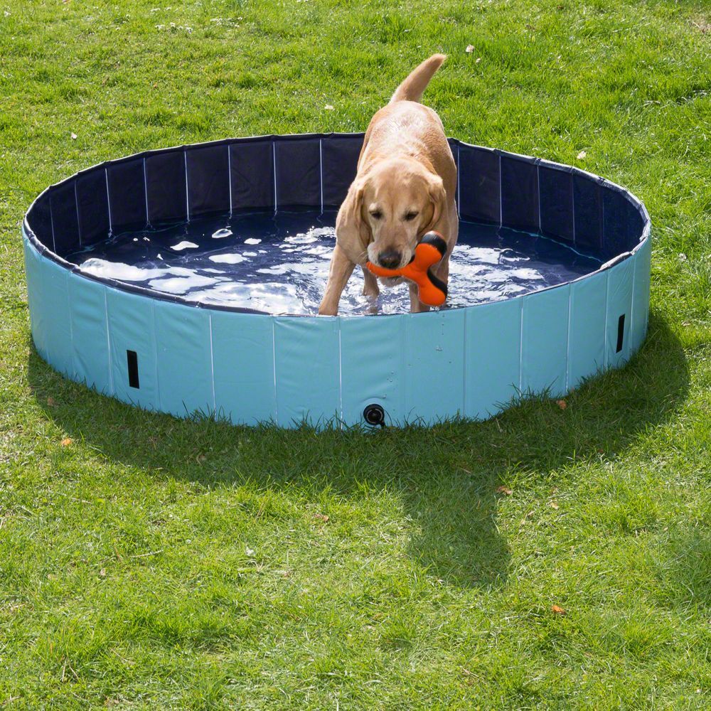 Trixie Бассейн для собак, 160x30 см, голубой/синий