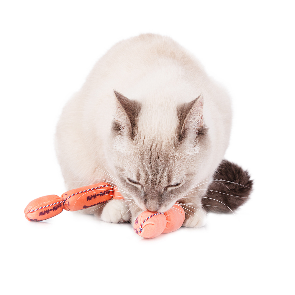 Pet Hobby Игрушка для кошек с кошачьей мятой, валерианой и погремушкой Связка сосисок, 37х3 см 