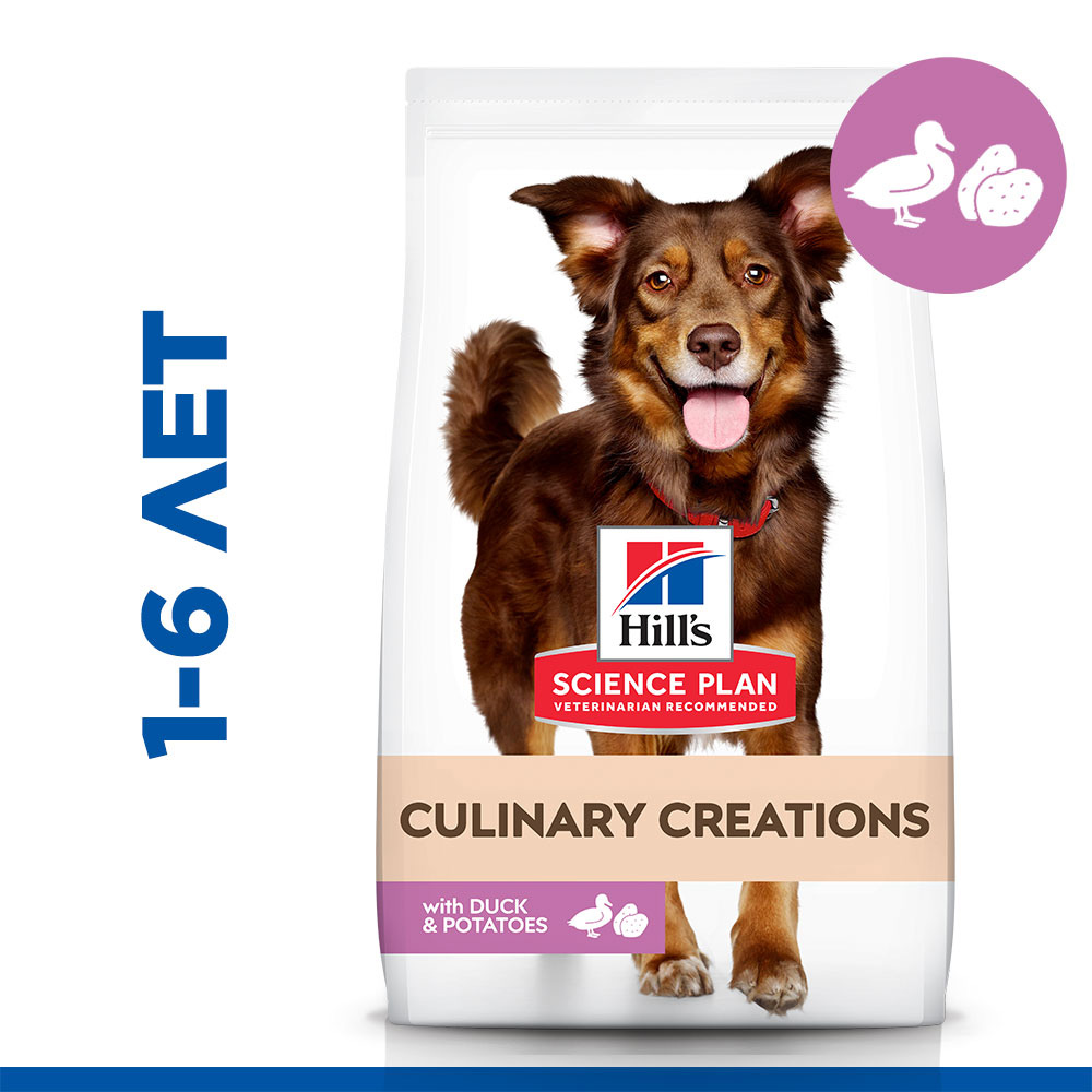 Hill's Science Plan Culinary Creations Сухой корм для взрослых собак средних пород для поддержания иммунитета, с уткой и картофелем, 12 кг