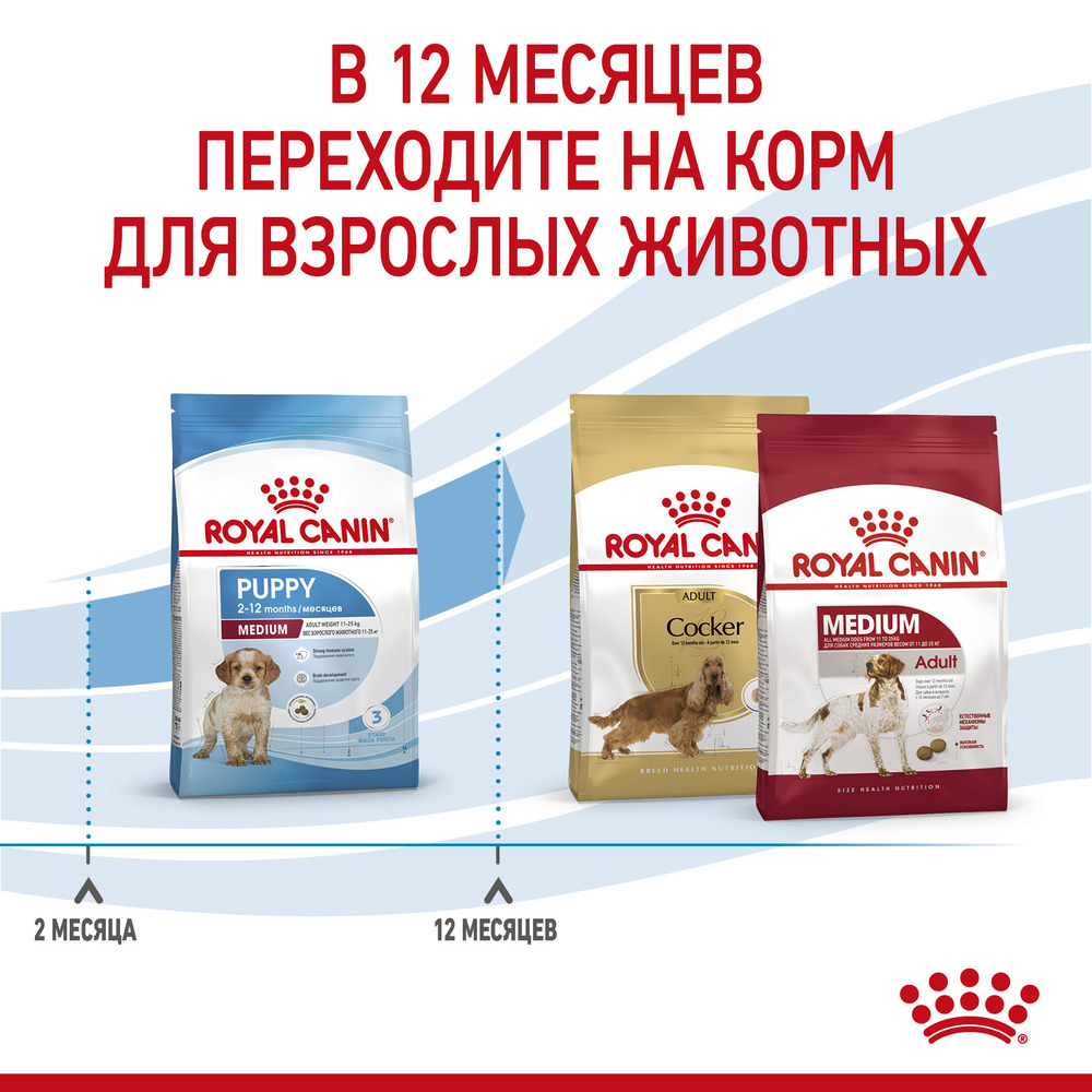 Royal Canin Medium Puppy корм для щенков средних пород 2-12 мес с 2 до 12 месяцев, 3 кг 