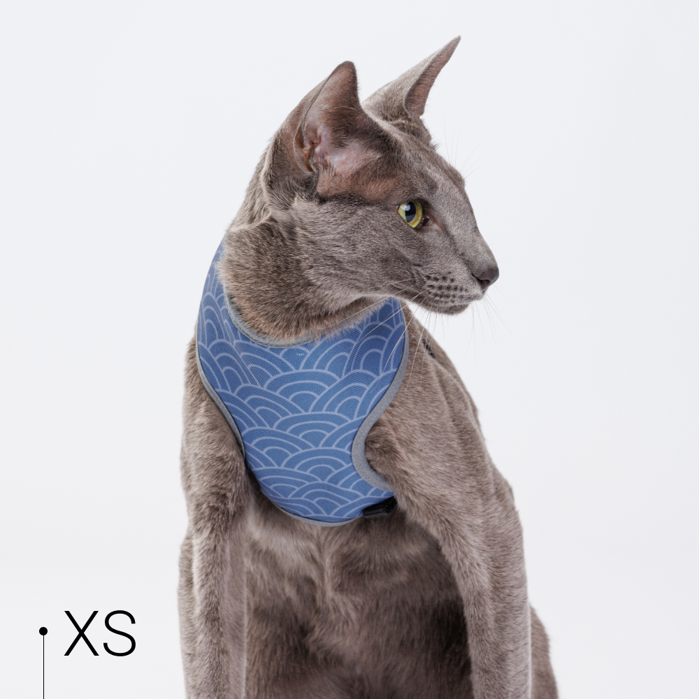 Rurri Шлейка для собак и кошек Синяя чешуя, XS, обхват груди 28-41 см