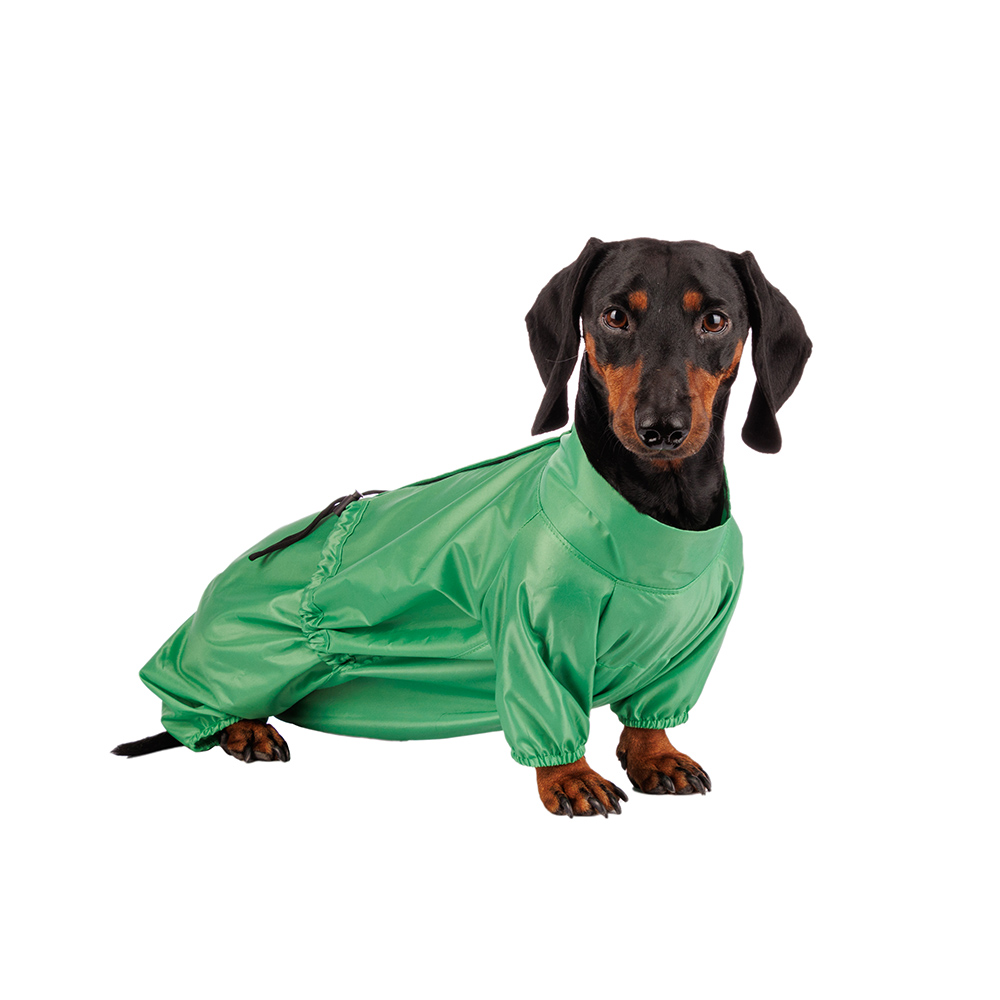 Rurri Дождевик для собак, XL, зеленое яблоко (девочка)