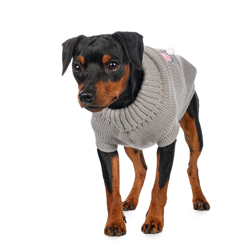 

Petmax Свитер серый с кошками 50см