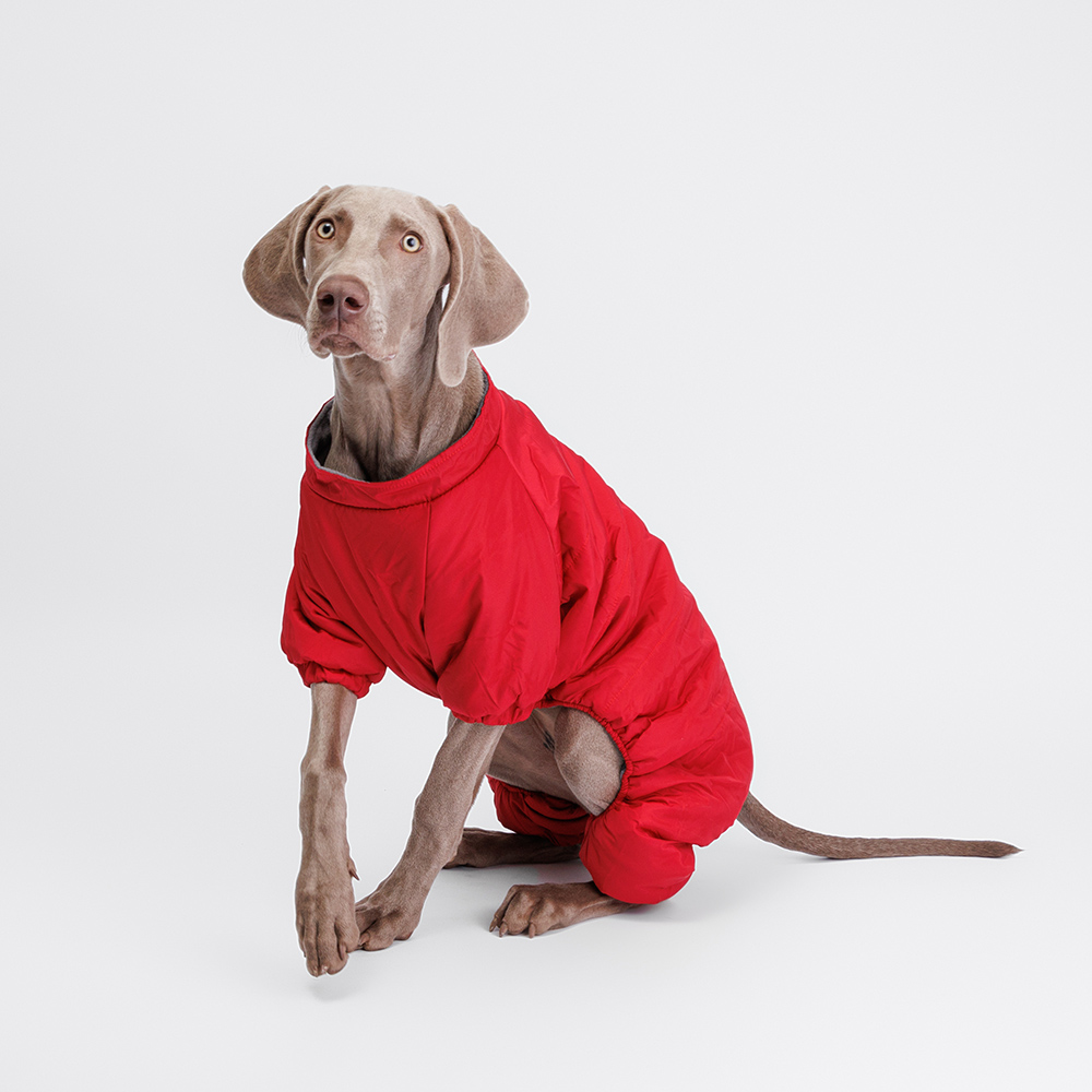 Petmax Комбинезон с замком для собак, 4XL, красный