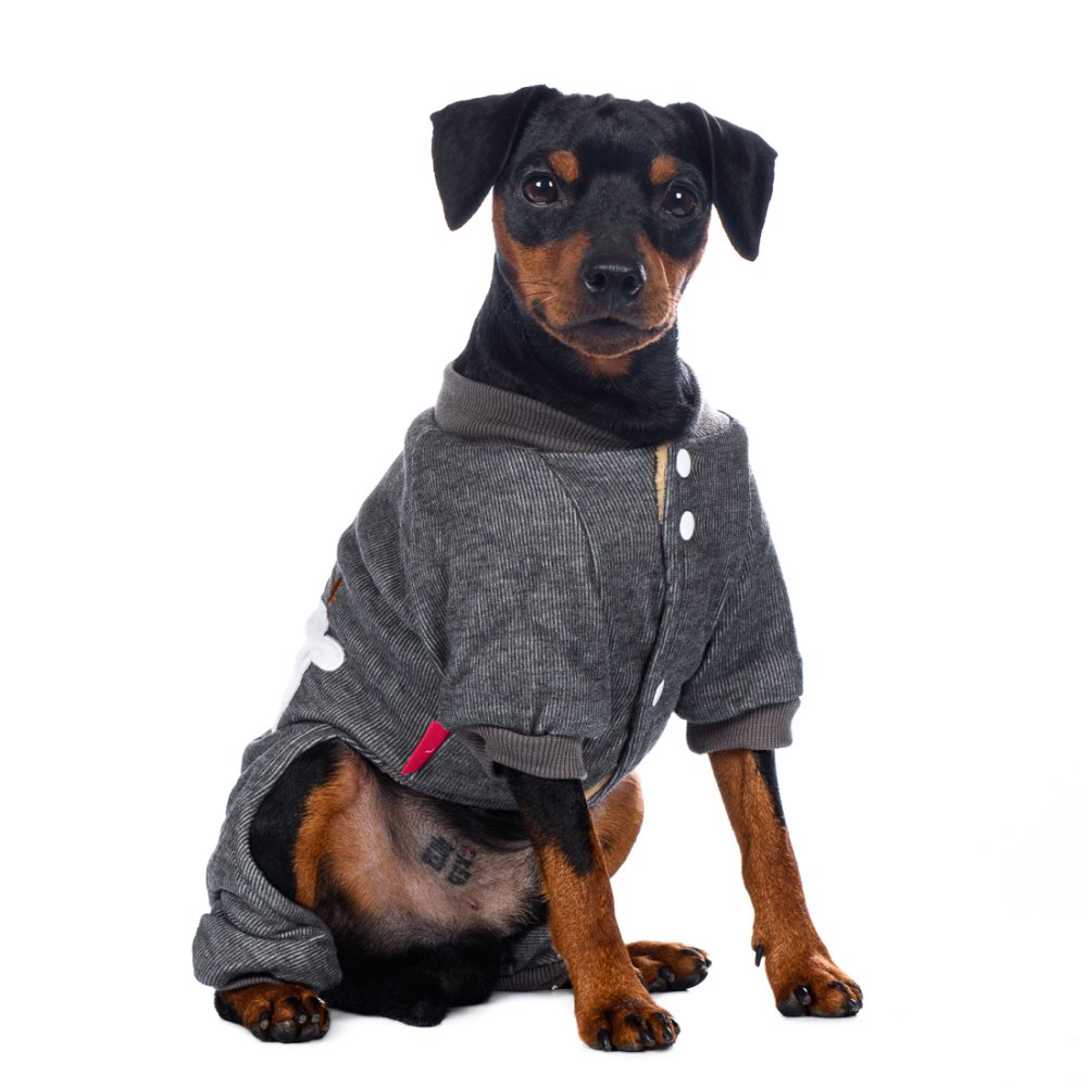 

Petmax Костюм серый с оленем M