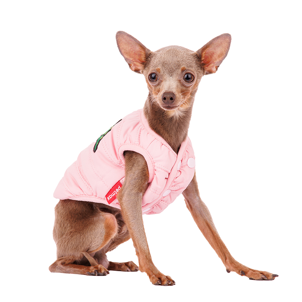 

Petmax Жилетка розовая с дракошей XS