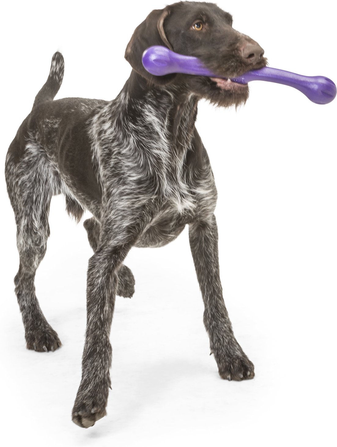 Zogoflex Игрушка для собак Перетяжка Zwig 35 см фиолетовый