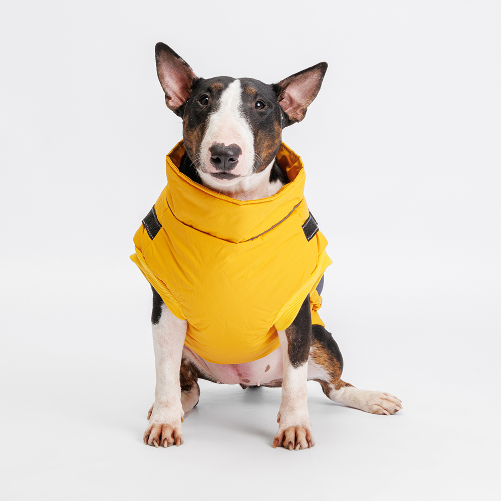 Rungo Куртка-жилетка со шлейкой для собак, L, желтая